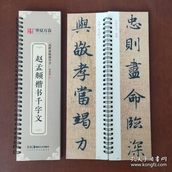 华夏万卷 近距离临摹字卡 赵孟頫楷书千字文 字帖毛笔书法临摹高清放大碑帖墨迹本 成人初学者正楷近距离临摹字卡