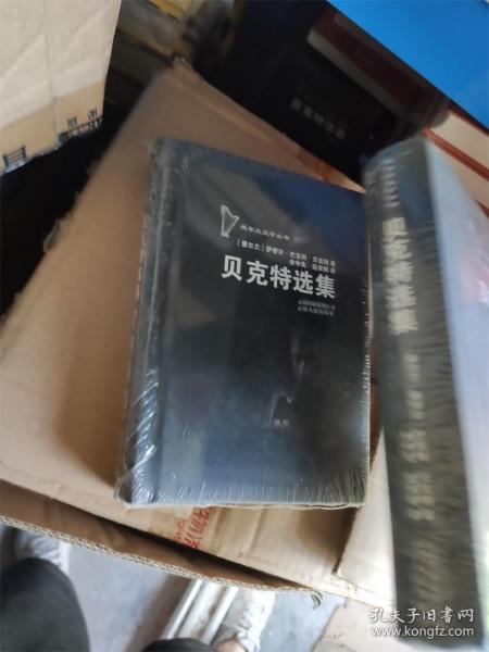 贝克特选集：爱尔兰文学丛书