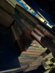 新海诚作品精选集（4本装） 秒速五厘米 他和她的猫 追逐繁星的孩子 星之声 共4册