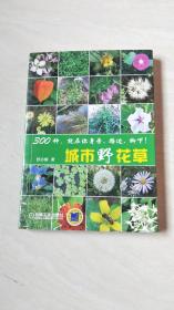 城市野花草（书内有作者写一封信，）【大32开 看图下单】