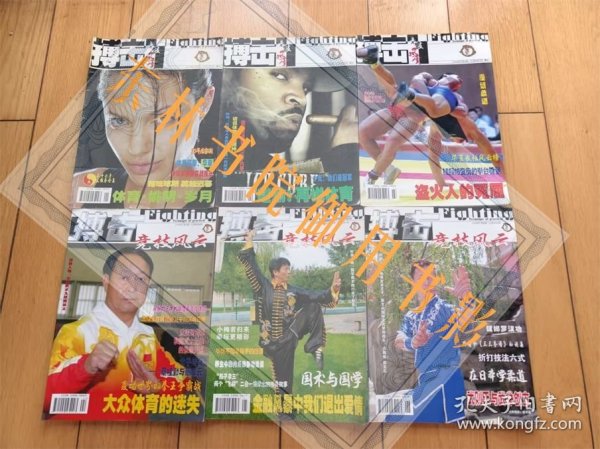 武术：搏击2009全年完整12本合售【原版孤本，大砖头型，首次披露西棍之冠天启棍古传醉八仙寅午连环拳南少林秘拳功力法等原传武学，内容罕见演示详尽，极厚重约2.3kg，系早期真传国术技击内功擒拿珍贵史料，因年代久远仅存孤本，大16开，详见商品描述】