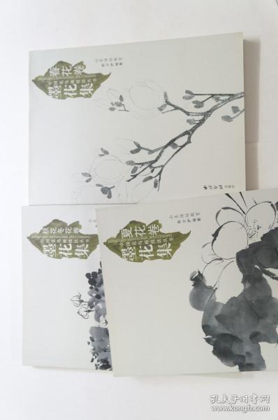 中国花鸟画技法丛书（3册全套）/ 春花卷/夏花卷/秋花冬花卷