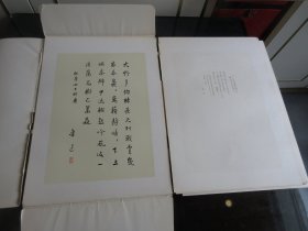 罕见七十年代8开本画册《鲁迅诗选》 （中日文对照，中文字帖式）1974年一版一印、品相佳-尊B-5（7788）