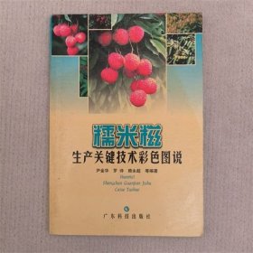 糯米糍生产关键技术彩色图说