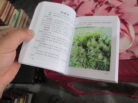 看家中草药随身看 2 实物拍照 货号70-7