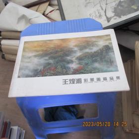 王煌湘彩墨画精品集 实物拍照 货号10-1