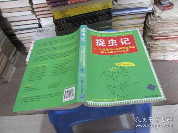 捉虫记：大容量Web应用性能测试与LoadRunner实战