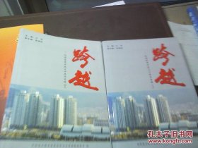 跨越（下）－纪念改革开放三十周年专辑·连云港市文史资料22