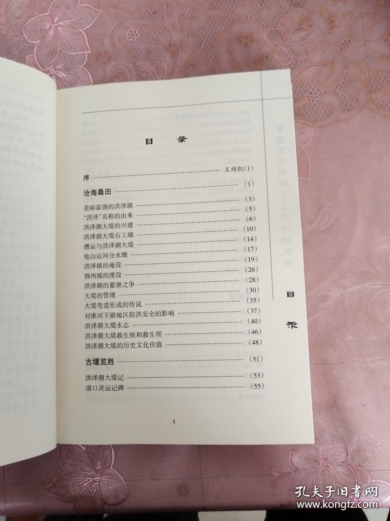 洪泽湖大堤-百里文化长廊·淮安文史资料26