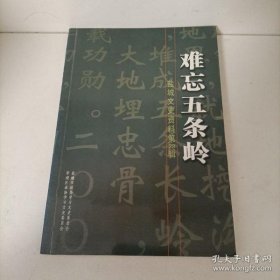 难忘五条岭·盐城文史资料选辑23