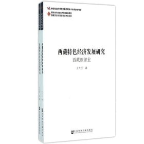 西藏特色经济发展研究（全2卷）