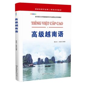 高级越南语 归纳越南语学习的基本规律 提升交际运用技能 越南语提升教材大学越南语正版