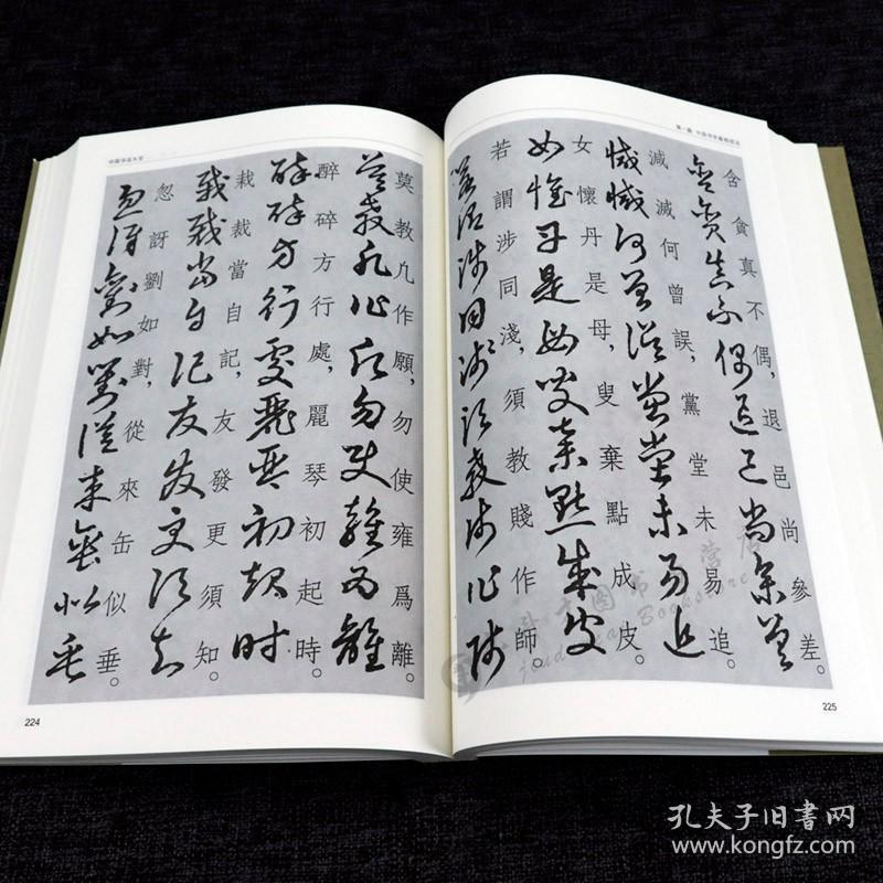 【全2册】中国书法大全+中国书法一本通 毛笔书法教程颜真卿欧阳询赵孟俯楷书行书草书篆书隶书毛笔字帖楷体狂草大小篆书籍