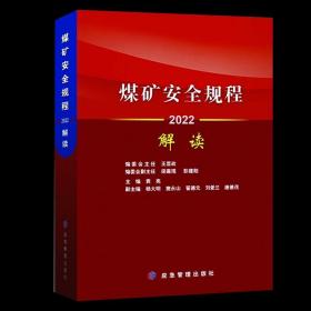 正版煤矿安全规程解读2022年新版袁亮主编应急管理出版社煤炭行业安全管理人员参考书煤矿矿山安全规程修订版专家解读释义