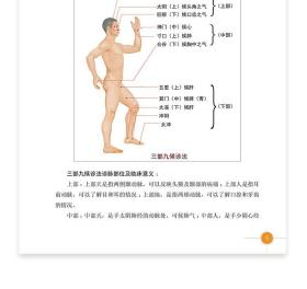 中医脉诊入门与常见病辨治 零起点学脉诊一学就通学习脉诊捷径中医脉学脉诊号脉大医脉神中医把脉认识脉诊原理方法技术书籍