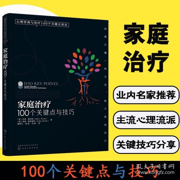 家庭治疗：100个关键点与技巧/心理咨询与治疗100个关键点译丛