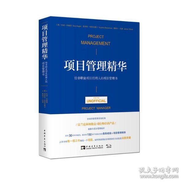 项目管理精华：给非职业项目经理人的项目管理书