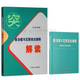 【买一送一】2019新版防治煤与瓦斯突出细则解读孙东玲主编煤炭工业出版社煤矿山安全煤炭与瓦斯突出事故学习书籍安全生产管理培训