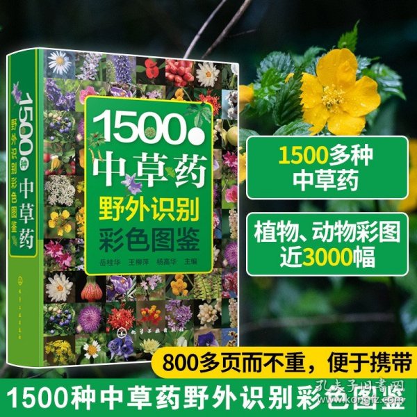 1500种中草药野外识别彩色图鉴