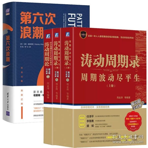 跨境资本流动大数据宏观审慎管理：面向新时代的金融科技监管新框架