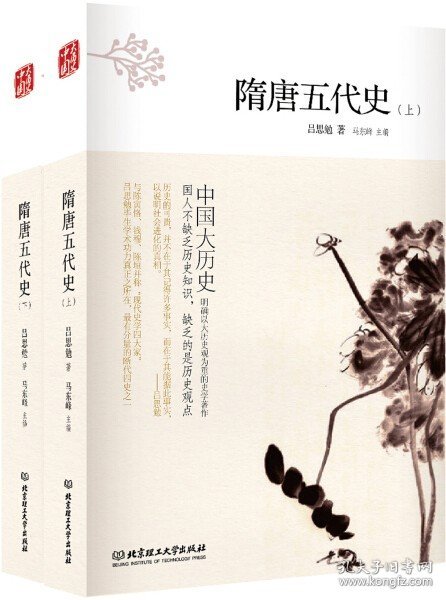 中国大历史——隋唐五代史（套装上、下册）（第2版）