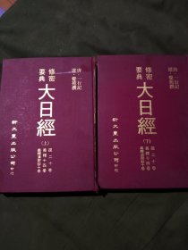 大日经【大日经疏二十卷  大日经义释十四卷   大日经义释演密钞十卷 】