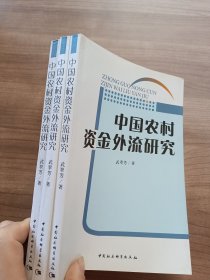 中国农村资金外流研究