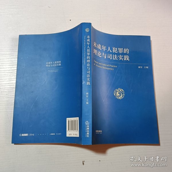 未成年人犯罪的理论与司法实践