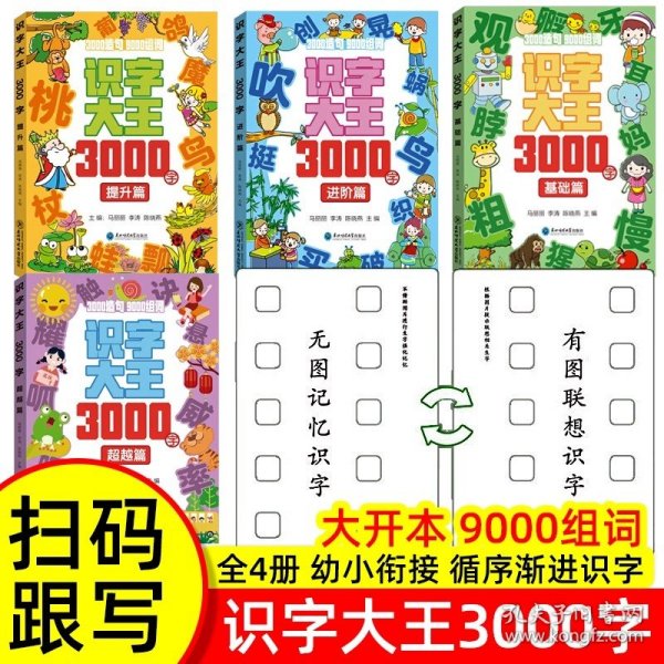 识字大王3000字(全4册)