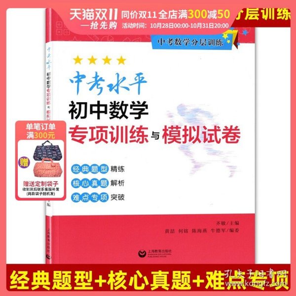 中考水平初中数学专项训练与模拟试卷