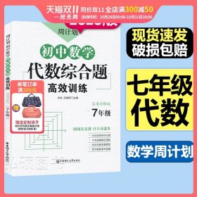 周计划：初中数学代数综合题高效训练（7年级）