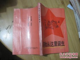 将帅从这里诞生 黄仲芳 湘南四大金刚 朱德的扁担