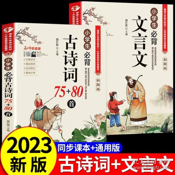 名师领读版 小学生必背古诗词75+80首 彩图版 涵盖小学语文教材1-6年级所有必背篇目 1-6年级语文教材同步版