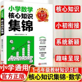 2023王朝霞小学核心知识集锦数学基础知识大盘点一二三四五六年级小学知识大全考试总复习小升初衔接工具书数学小学通用