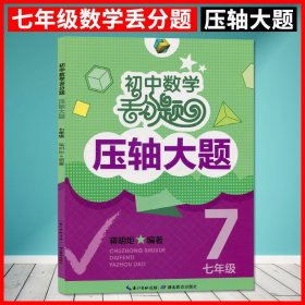 初中数学丢分题压轴大题