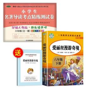 爱丽丝漫游奇境记小学教辅指定版附带考点题型训练阅读课外读物世界经典文学名著