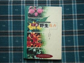 三北野生花卉