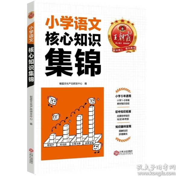 2023王朝霞小学核心知识集锦数学基础知识大盘点一二三四五六年级小学知识大全考试总复习小升初衔接工具书数学小学通用