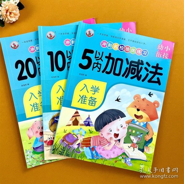 10以内加减法/幼小衔接冲刺名校培优练习