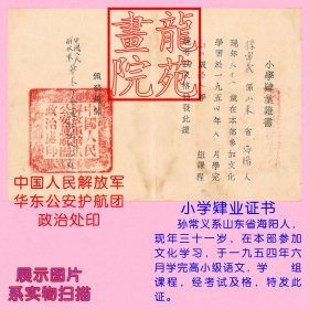 小学肄业证书·解放军华东公安护航团政治处 学生孙常义1954.12.15