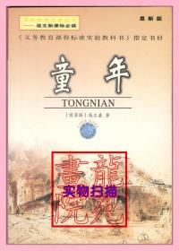 书大32开最新版《童年》高尔基著/陕西旅游出版社2005年2月1版1印