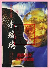 书大32开软精装本《严沁系列小说集水琉璃》中国文联出版社1997年6月1版1印