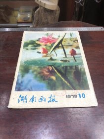 579.经典-画报-湖南画报-1979年-10月（期）----40*30cm