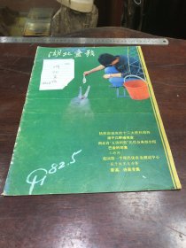 542.经典-画报-湖北画报-1982年-5月（期）--我国第一个现代化农业测试中心--40*30cm