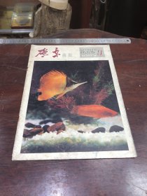 555.经典-画报-广东-1982年-9月（期）--探索长寿的奥秘--40*30cm