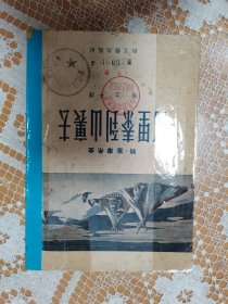 阿里泰到山里去（上下）