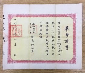 上海教育资料——1951年 上海市私立正本小学 毕业证书