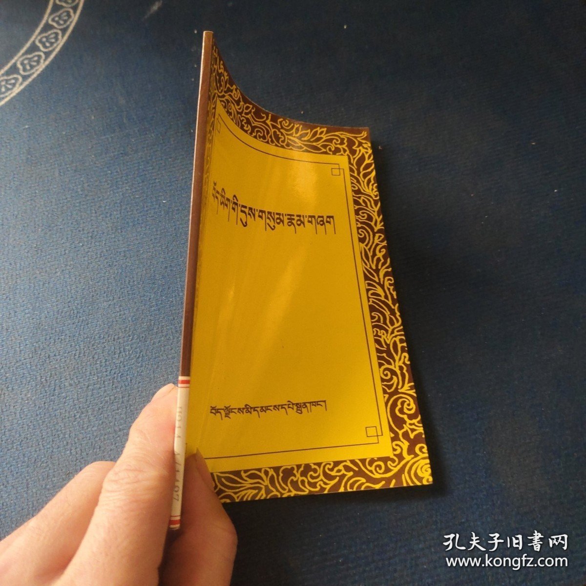 中国医学百科全书. 藏医分卷 ： : 藏文