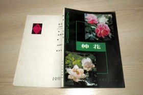 种花  1982印.