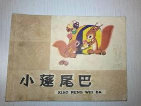 小蓬尾巴（知识童话）